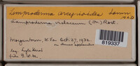 Image Associated With the Occurence